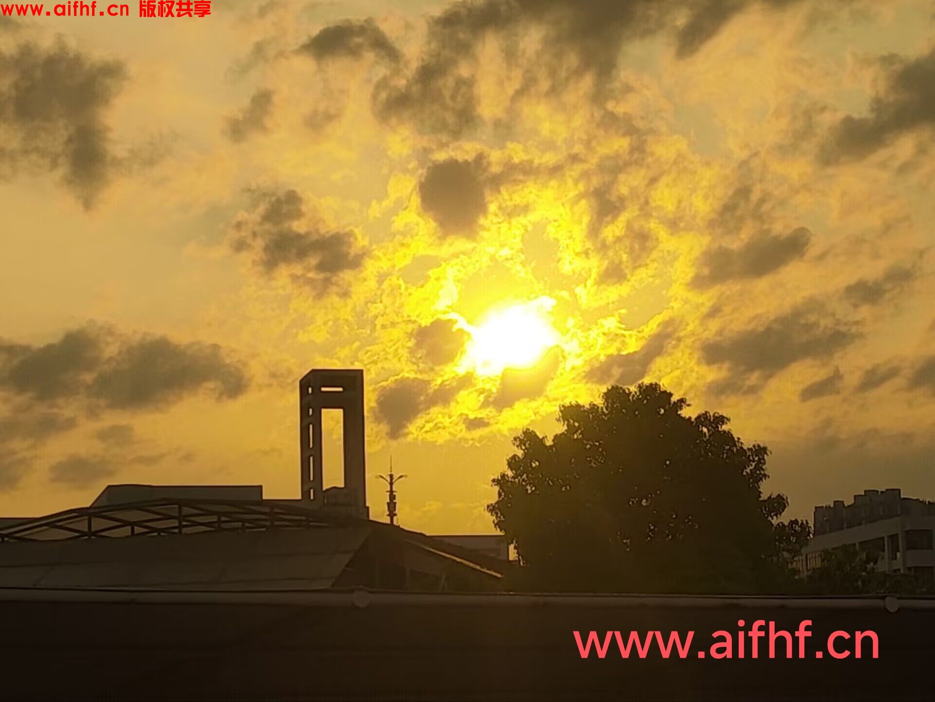 小恐龙嗷：希望就像黄金之光一样闪烁