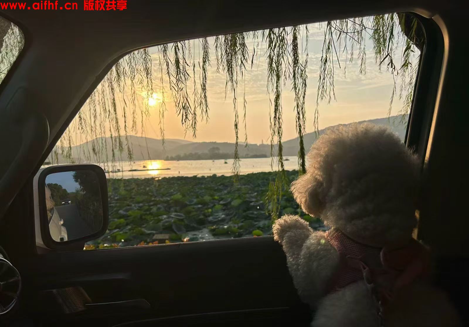 帅神:日出日落留一片净土